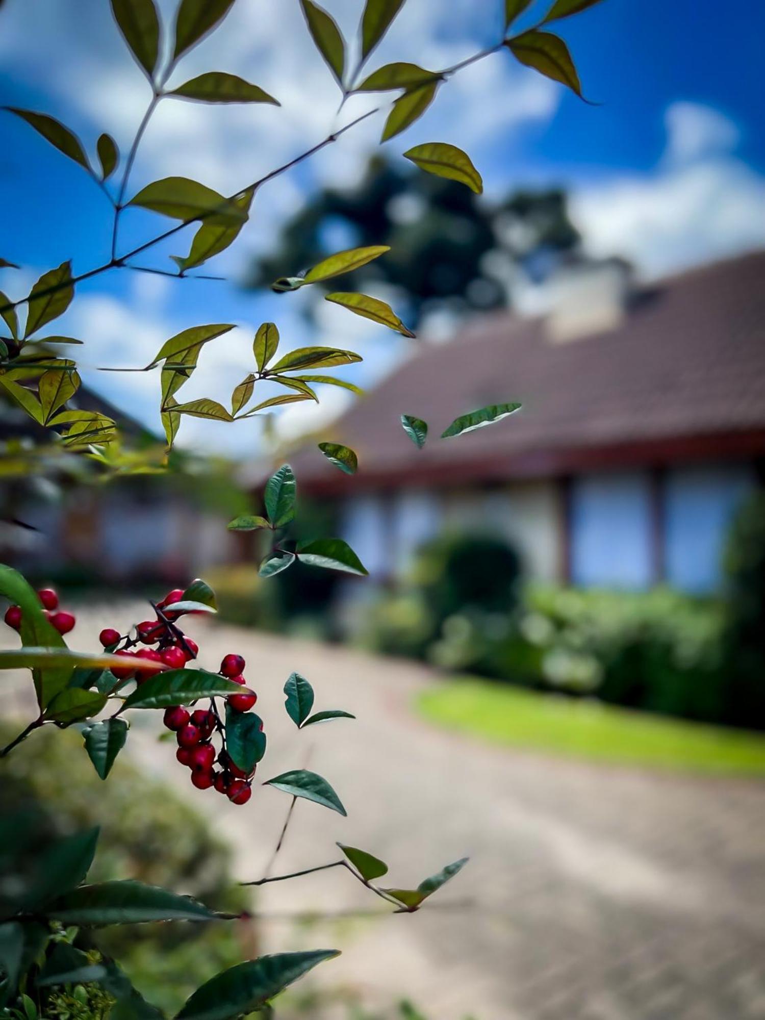 Guest house Belo Destino Gramado